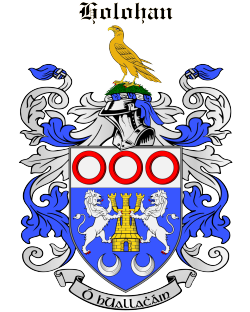 HOLOHAN family crest