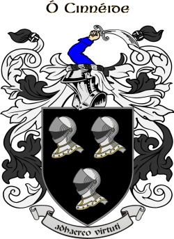 KENNEDY family crest KENNEDY family crest
