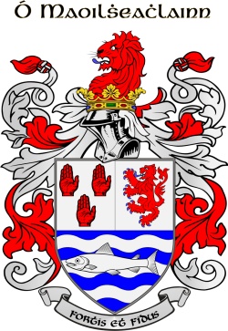 MCLOUGHLIN family crest MCLOUGHLIN family crest
