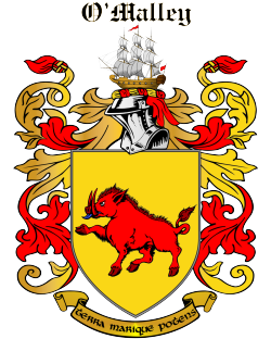 O'Riley family crest